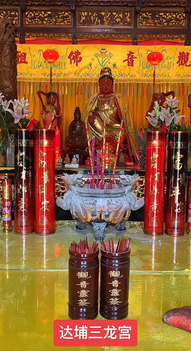 普陀山紫竹林日记｜紫竹林的晨钟响起叫醒了所有人却叫不醒你的心