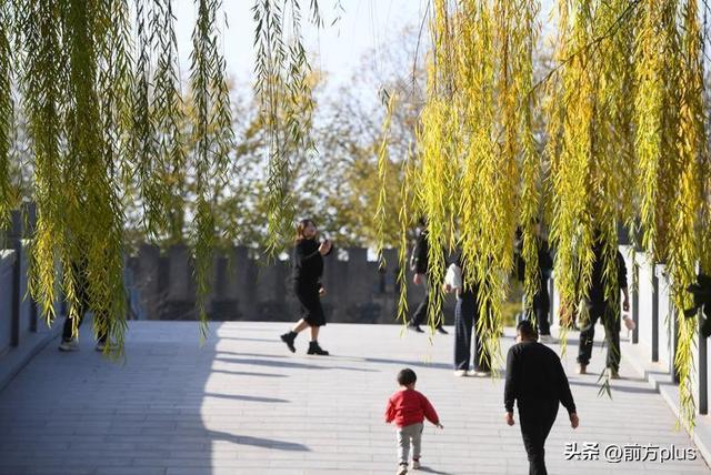 暖阳映照汉城湖 游人如织享冬趣