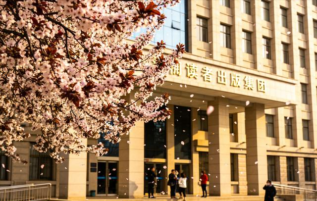 兰州读者大道火了！紫叶李开成粉色隧道，书香与花香撞个满怀