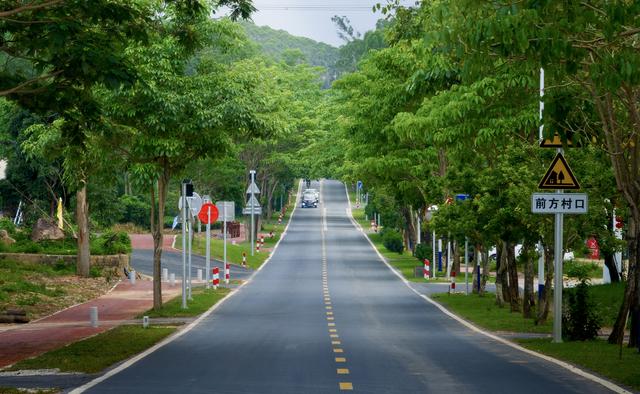 引领区 见未来 | 畅玩最美旅游公路 解锁“醉美”引领区