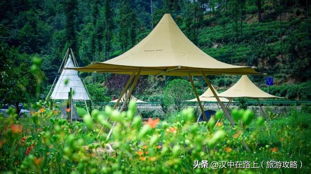 楮溪源景区：非遗茶歌、露营烧烤等你来！