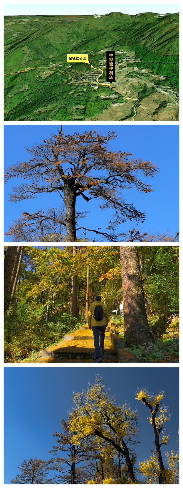 小而美自驾路线：临安大鱼线+s218省道，值得收藏