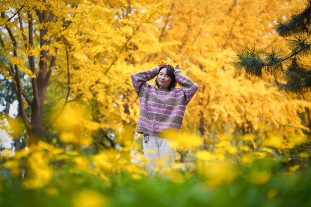 全龄友好,四季皆景!皇城根遗址公园焕新升级,超多美图→