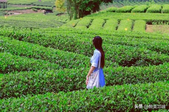 在邛崃，把夏天过成清凉薄荷味儿