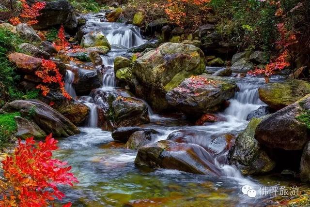 秋假冲鸭!佛坪“秋日乌托邦”,承包你的假日松弛感→