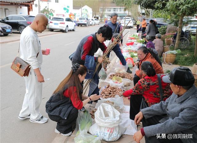 多彩旌阳｜新中镇龙居村樱花漫山盛放，你确定不来？