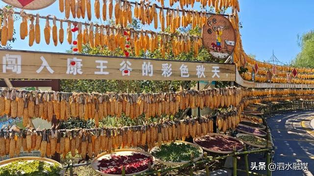 咔嚓🤳！抓住济宁秋天的“小尾巴”~