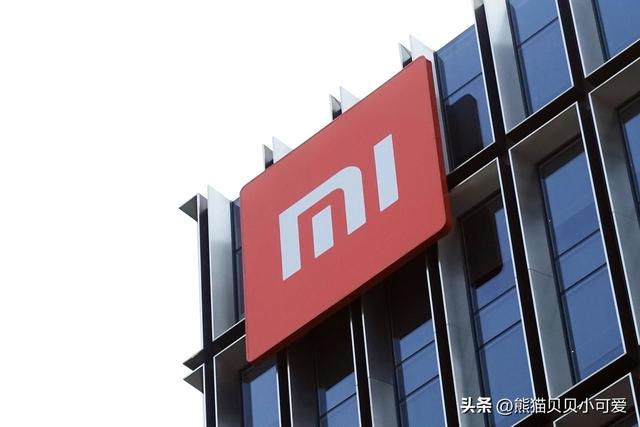 如何从触及本质的角度，去看待小米这家公司当下遭遇的舆论反转？