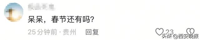 杀年猪女孩“呆呆”3天涨粉近200万，广告1分钟报价2400元，网友：3天赚了450万元！本人回应