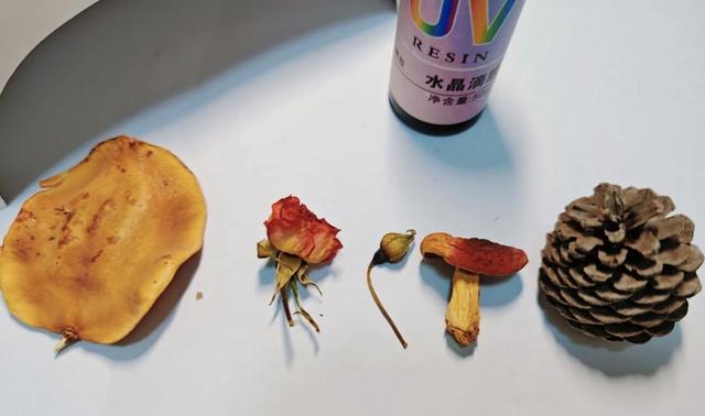 太上头！去景德镇画盘子成风潮，网红打卡过时，300块玩出仪式感