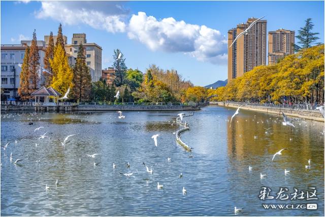 旅居云南·昆明好在（二十八）避寒游邂逅春城美