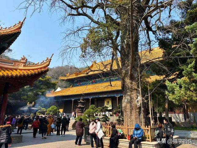 东海之滨——海天佛国普陀山