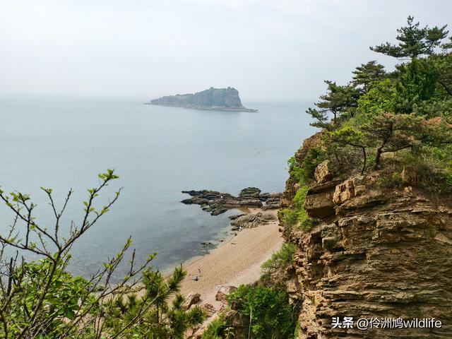 大连海之韵公园·棒槌岛