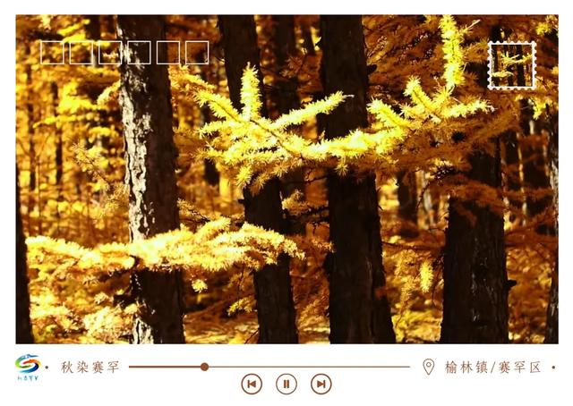 北疆文化 遇鉴赛罕 | 秋染赛罕明信片上线！快来“云”赏秋