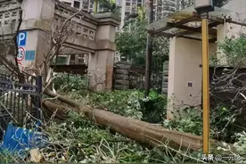 泪目！海口别怕，解放军来了！这才是独属于我们中国人的安全感！图片