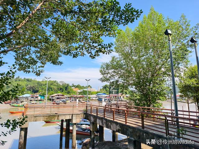 马来西亚(35)砂拉越州⑨峇哥国家公园徒步线路