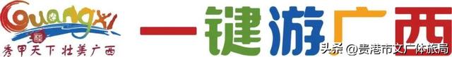 贵港盛夏赛事即将启幕！科技少年集结，文旅福利已就位