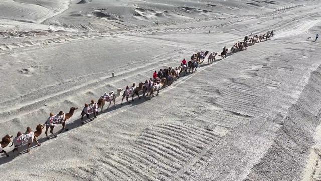 “东天山来的骆驼队——丝绸之路文化行”活动走进阳关玉门关旅游区（阳关）
