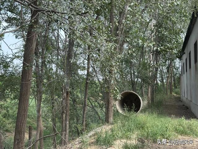 冠县乡韵·定远寨镇陈庄