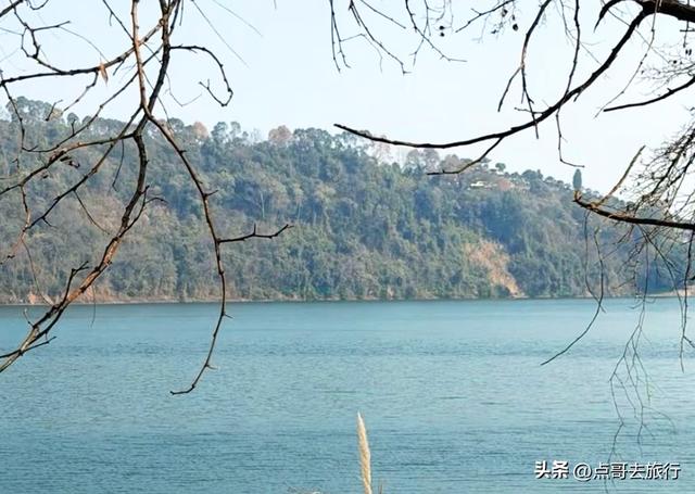 成都山地红梅开花了，粉红云霞铺天盖地，非常震撼，免费！