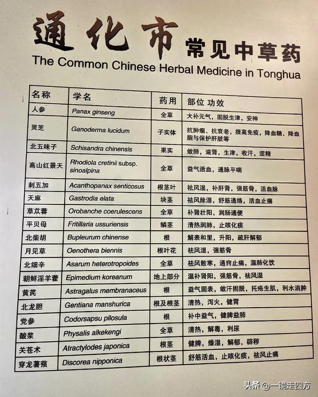 通化市自然博物馆