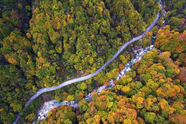坐高铁到这里赏红叶，享景区优惠！