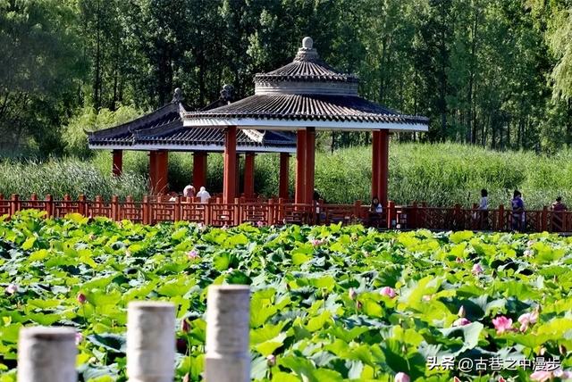 去了趟甘肃陇南，真心建议：不要随便去甘肃陇南，除非你知道这些
