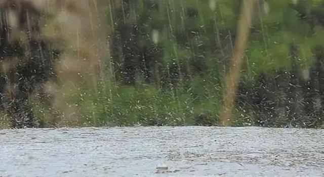 这不是迷信！“最怕立冬是雨天”，今日立冬，下雨啥预兆？