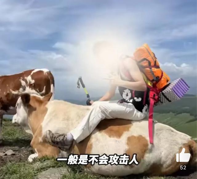 景区回应游客打牛屁股坐牛背被围攻