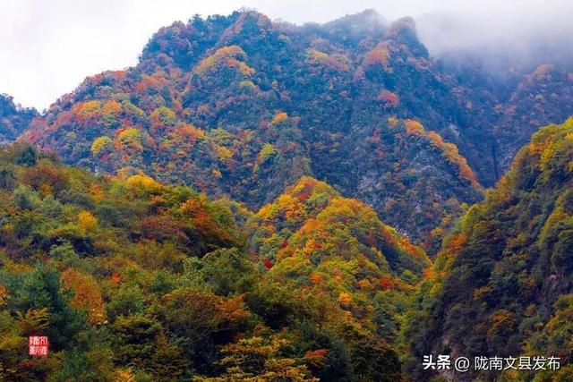 醉美文县：秋色斑斓大岭梁