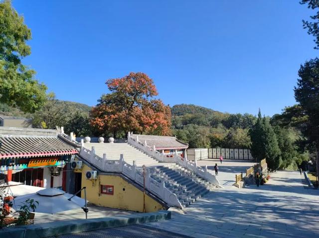 趁秋日暖阳，来八大处感受与自然共处的温柔→