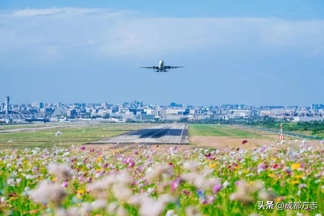 一眼惊艳！成都“空中丝路”美出圈→