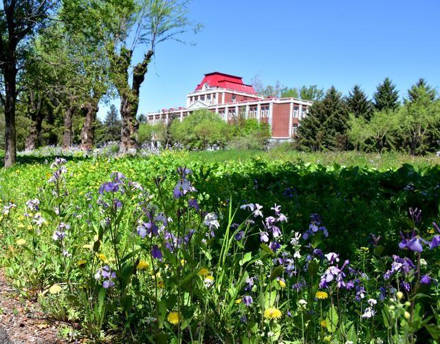 我国最大的大学：相当于70个北大，85个清华，还是211！