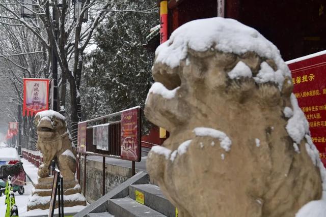 朔州：这场雪，认真