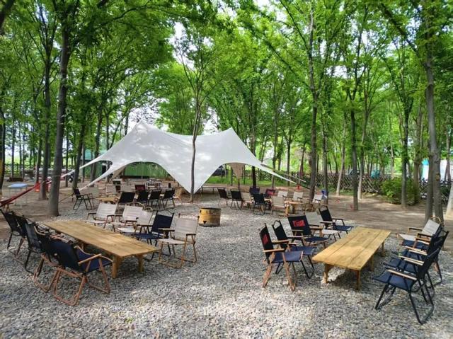 特别出片！潍城这里的“深秋限定”已到货，等你打卡