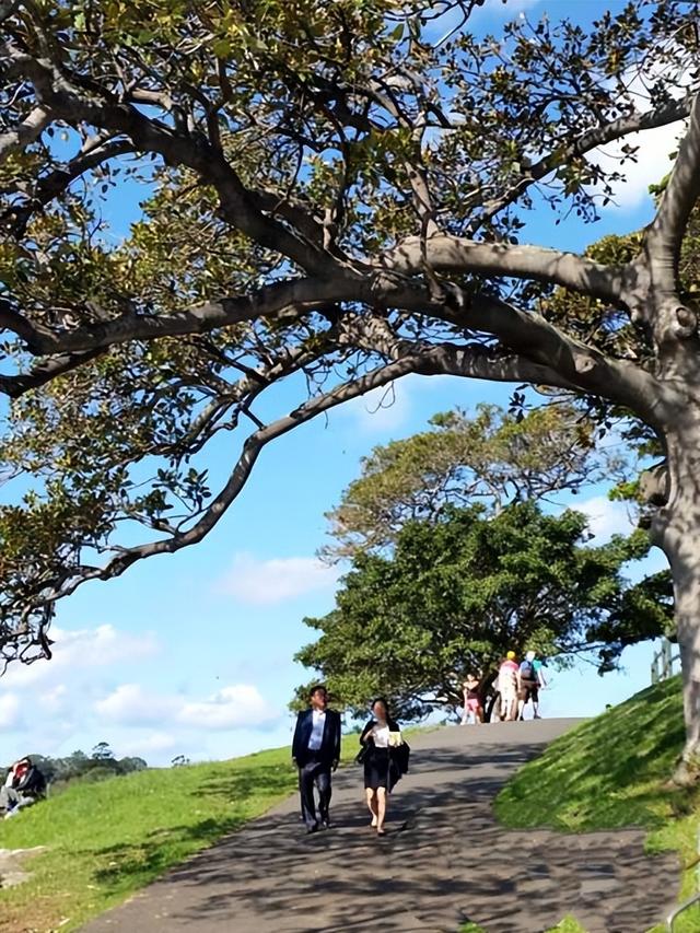 大洋洲旅游：澳大利亚新南威尔士州行（图）
