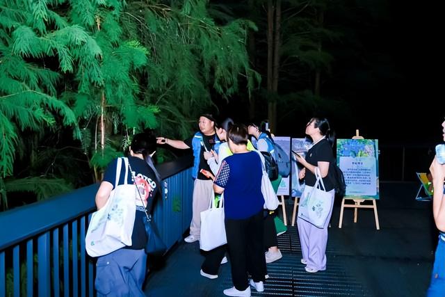 广州白云山首条康养径开放，开启都市森林疗愈新体验