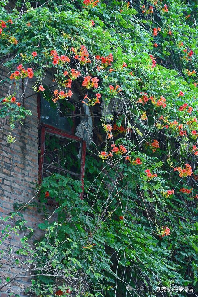 商丘电厂家属院