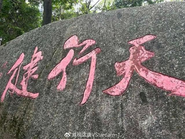 今日阳光正好，看鹰击长空！