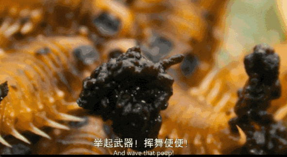 内娱男星讲荤段子，居然拿下豆瓣8.9