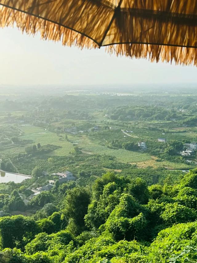 登高望远：解锁新津赏秋的N种姿势→