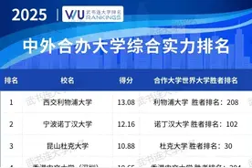 2025中外合办大学综合实力排名，来了！图片