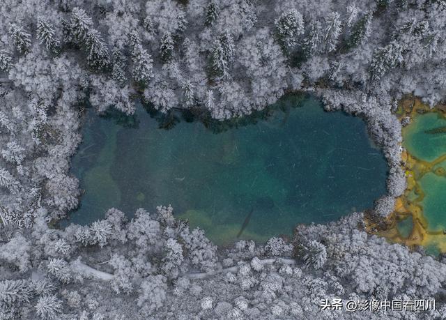 九寨沟神仙池：喜迎金秋第一场瑞雪