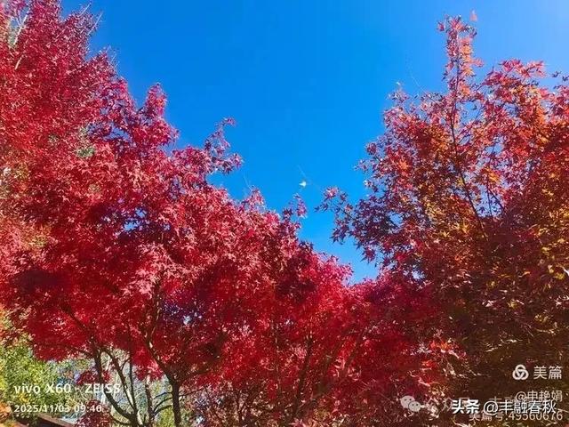 青岛即墨马山寻趣:一座地质公园的秋日私语|申艳娟