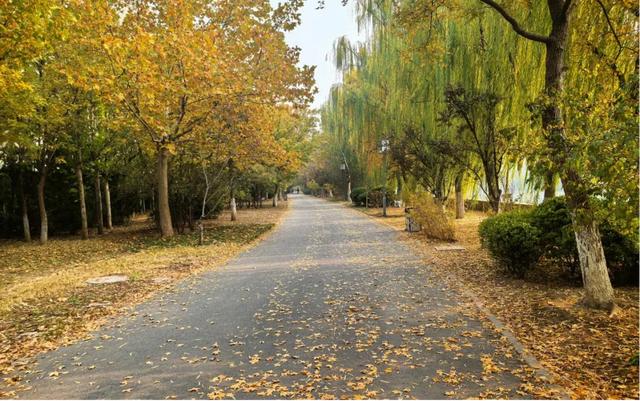 不出天津,也能“周末到河北”……