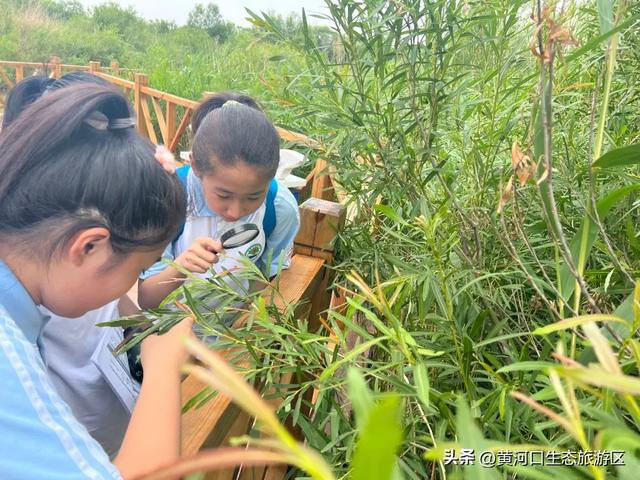 【喜报】黄河口生态文明研学基地 成功入选“山东省研学旅游基地品质提升试点单位”