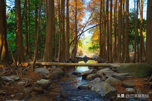 马峦山观瀑记