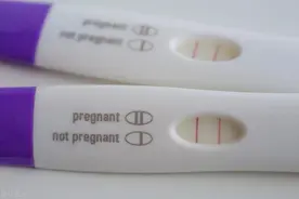 备孕怀孕生子，应该做好那些准备，你了解吗？（一）图片