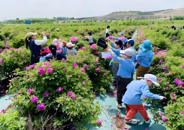 潍坊4家基地入选省级研学试点！解锁“行知潍坊”新玩法！