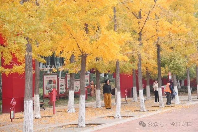 确定了，龙口5个区域！速来打卡